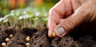 In de week rond de Dag van de Sociaal Werker op 13 maart daagt Movisie sociaal werkers uit met de Challenge Groeikracht sociaal werkers.