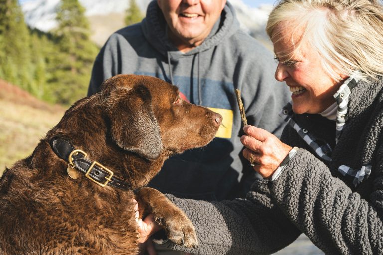 Huisdieren helpen om het alledaagse leven op te fleuren en bieden onvoorwaardelijke liefde. Photo by Chewy on Unsplash.